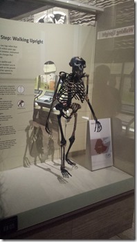 Lucy. No sky, no diamonds.